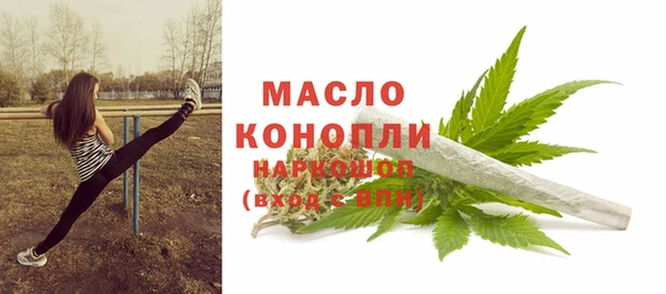 индика Волоколамск