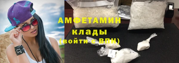 индика Волоколамск