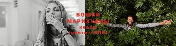 индика Волоколамск