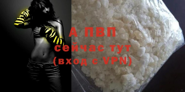 индика Волоколамск