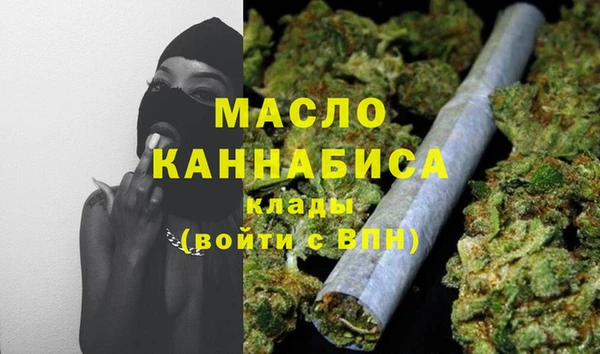 индика Волоколамск