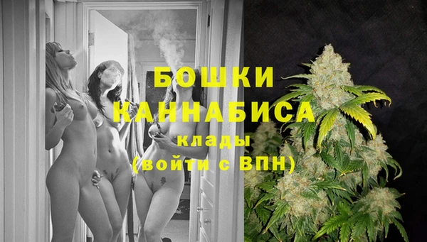 ГАЛЛЮЦИНОГЕННЫЕ ГРИБЫ Волосово