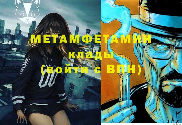 индика Волоколамск