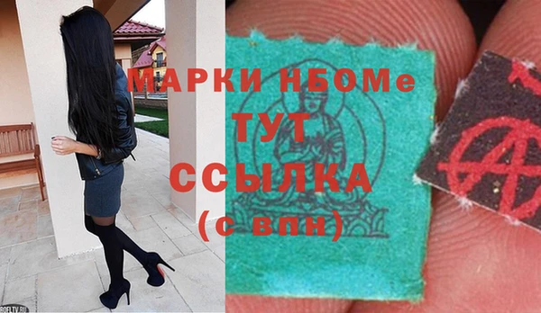 индика Волоколамск
