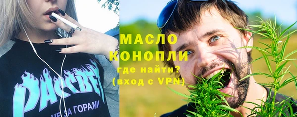 индика Волоколамск