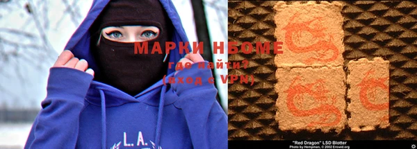 индика Волоколамск